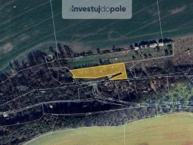 Prodej pole, Třebichovice - Saky, 2087 m2