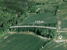 Prodej lesa, Šarovy, 2938 m2