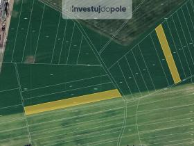 Prodej pole, Pardubice, 2906 m2