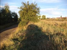 Dražba louky, Kněževes, 593 m2