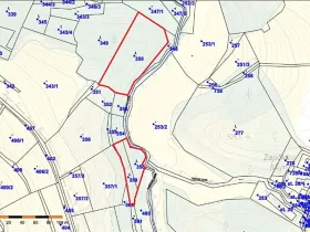 Prodej lesa, Mladé Bříště, 8461 m2
