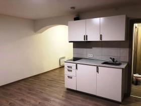 Pronájem bytu 1+kk, Brno, Křenová, 30 m2