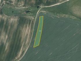 Prodej podílu pole, Vyklantice, 1378 m2