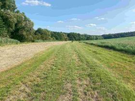 Prodej pole, Oldřichovice, 250 m2