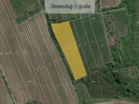 Prodej louky, Horní Věstonice, 8391 m2