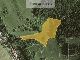 Prodej louky, Stvolová - Skřib, 9632 m2