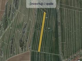 Prodej pole, Ostrov u Macochy, 3708 m2