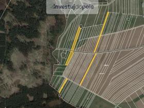Prodej pole, Ostrov u Macochy, 9894 m2
