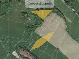 Prodej louky, Benecko - Mrklov, 1960 m2