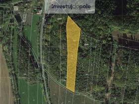 Prodej lesa, Mutějovice, 6819 m2