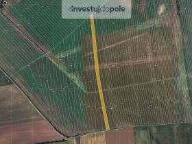 Prodej pole, Břeclav - Poštorná, 8042 m2