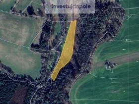 Prodej louky, Divišov - Dalovy, 3388 m2