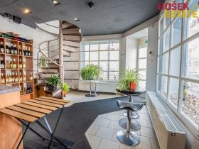 Prodej obchodního prostoru, Brno, Zemědělská, 57 m2