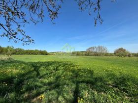 Prodej pozemku pro bydlení, Břasy, 6448 m2