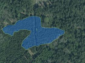 Prodej podílu lesa, Nové Mitrovice, 1057 m2