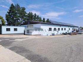 Pronájem výrobních prostor, Homole, 1000 m2
