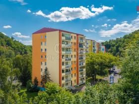 Prodej bytu 2+kk, Teplice, Písečná, 40 m2