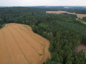 Prodej pole, Blažejov, 17187 m2
