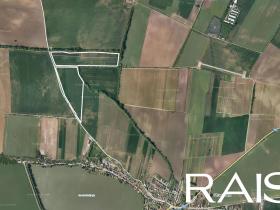 Prodej pole, Strachotín, 144 m2