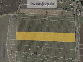 Prodej pole, Liběšice - Soběnice, 6199 m2