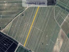 Prodej pole, Starovičky, 2561 m2