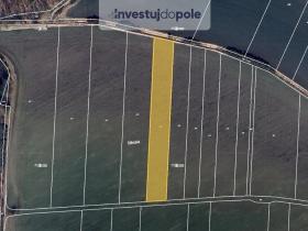 Prodej pole, Choťovice, 6966 m2