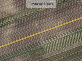 Prodej pole, Velké Pavlovice, 3452 m2