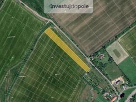 Prodej pole, Věžky, 2045 m2