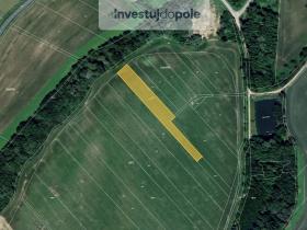 Prodej pole, Věžky, 1281 m2