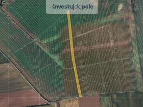 Prodej pole, Břeclav - Poštorná, 8042 m2