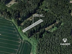 Prodej podílu lesa, Děkanovice, 948 m2