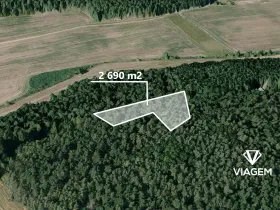 Prodej podílu lesa, Hrdlív, 807 m2