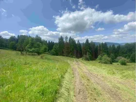 Dražba louky, Malá Bystřice, 3433 m2