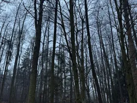 Prodej pozemku, Třebechovice pod Orebem, 14875 m2