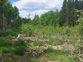 Prodej podílu lesa, Dolní Cerekev, 5366 m2