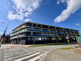 Pronájem bytu 2+kk, Hradec Králové, Pálenecká, 67 m2