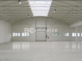 Pronájem skladu, Holubice, 1124 m2