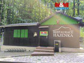 Pronájem restaurace, Orlová - Lutyně, Modřínová, 330 m2