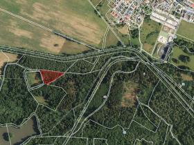 Prodej lesa, Františkovy Lázně, Jezerní, 2956 m2