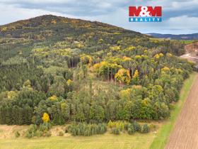 Prodej lesa, Ježovy - Trnčí, 39171 m2