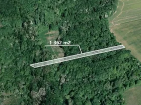 Prodej lesa, Hradčovice, 1362 m2