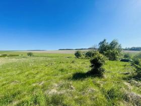 Prodej pozemku pro bydlení, Radnice, Puchmajerova, 850 m2