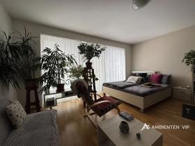 Pronájem bytu 1+kk, Brno, Božetěchova, 52 m2
