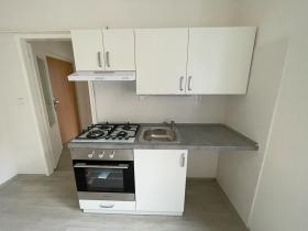 Pronájem bytu 1+1, Litvínov, Seifertova, 25 m2
