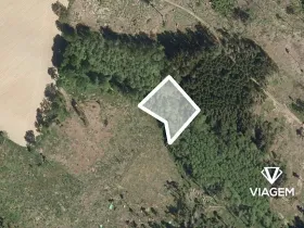 Prodej podílu lesa, Chýstovice, 669 m2