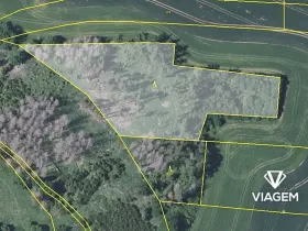 Prodej podílu lesa, Trhový Štěpánov, 6300 m2