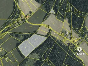 Prodej podílu lesa, Cotkytle, 1746 m2