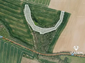 Prodej podílu lesa, Mělnické Vtelno, 8584 m2