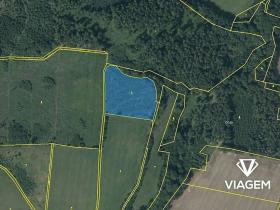 Prodej lesa, Mohelnice, 9122 m2