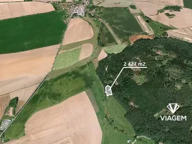 Prodej podílu lesa, Koloveč, 707 m2